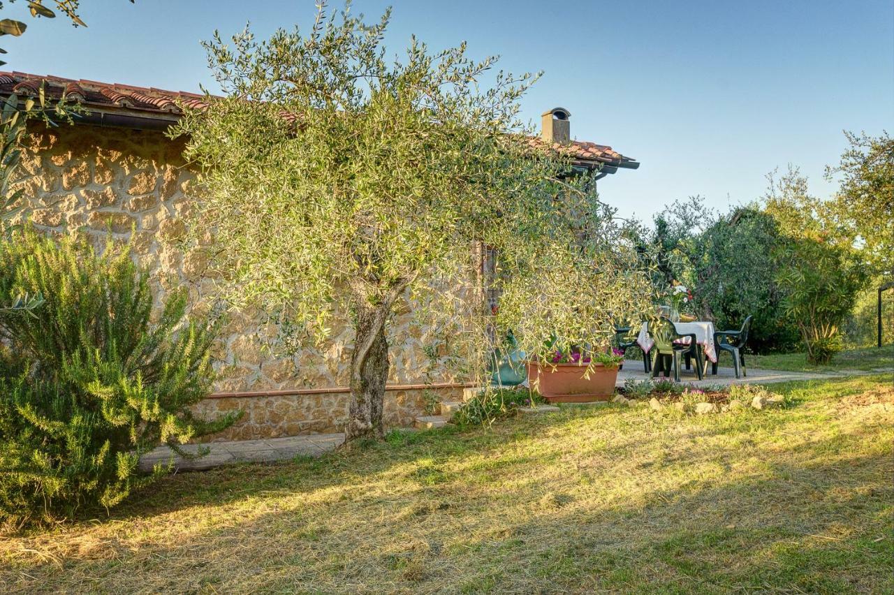 Tuscan Roots Villa La Croce Exterior photo